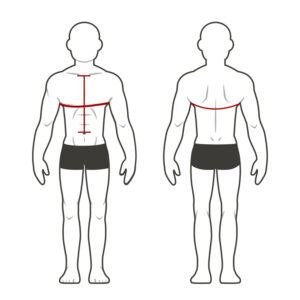 Detailed size chart for plate carriers showing measurements for small, medium, and large sizes.