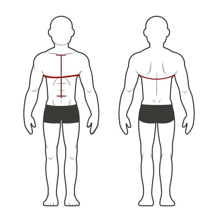 Detailed size chart for plate carriers showing measurements for small, medium, and large sizes.